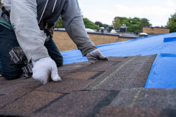 Best Commercial Roofing Services  in Amelia, LA