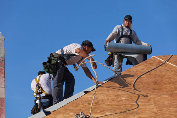 Best Roof Leak Repair  in Amelia, LA