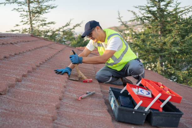 Best Storm Damage Roof Repair  in Amelia, LA